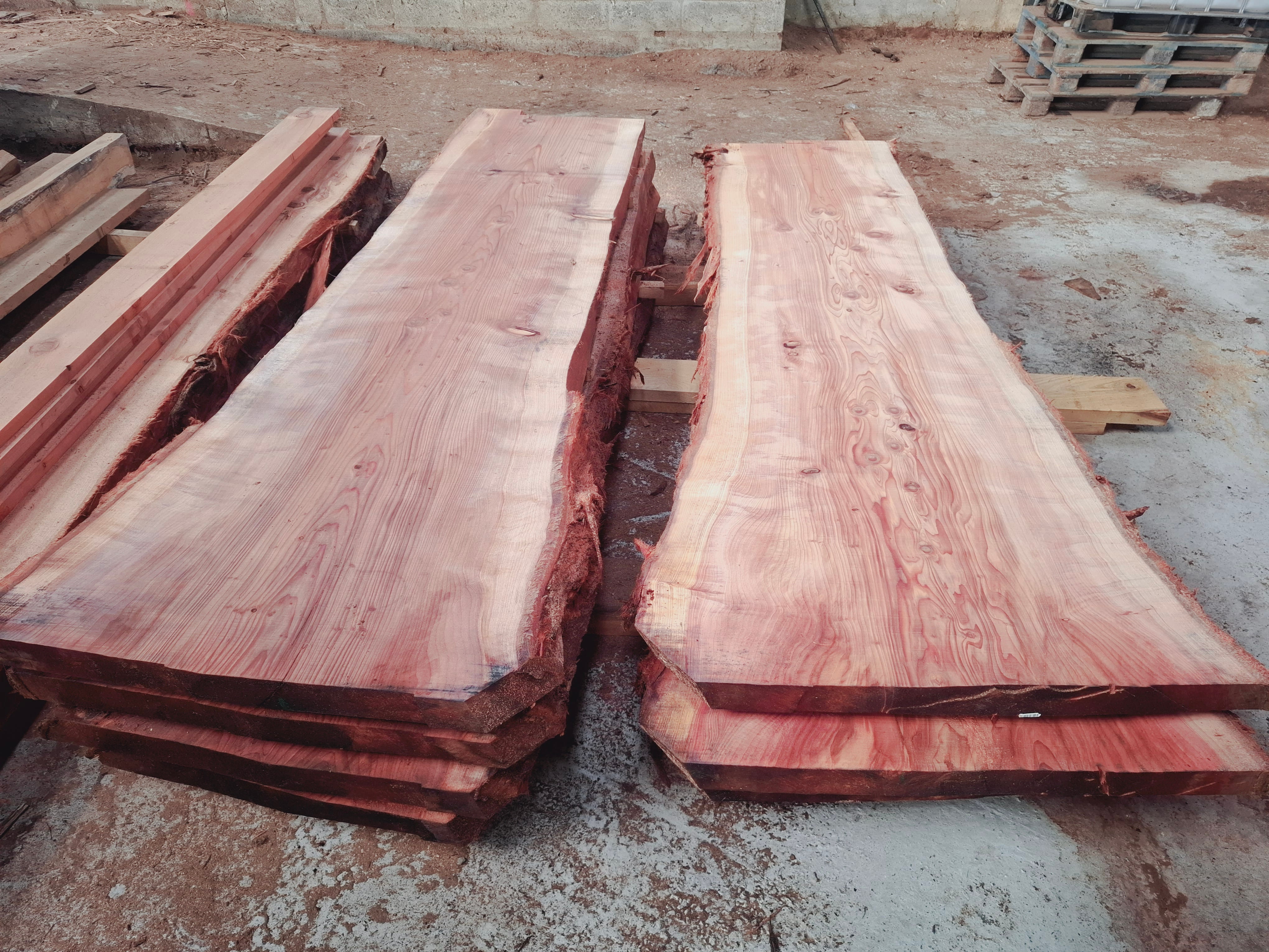 Plateau en bois de séquoia